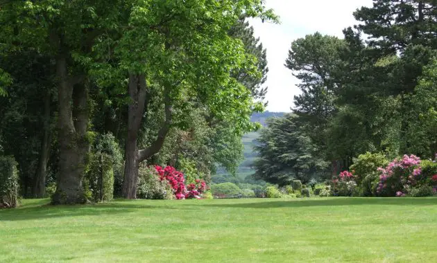 landscape tree grass structure plant lawn