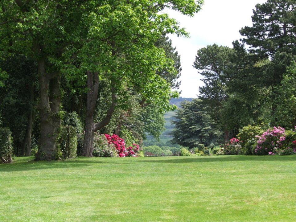 landscape tree grass structure plant lawn landscape tree grass structure plant lawn