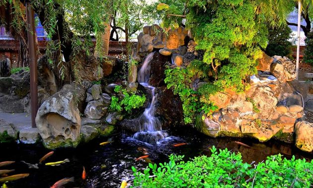 pond koi waterfall nature garden park fresh zen ornamental