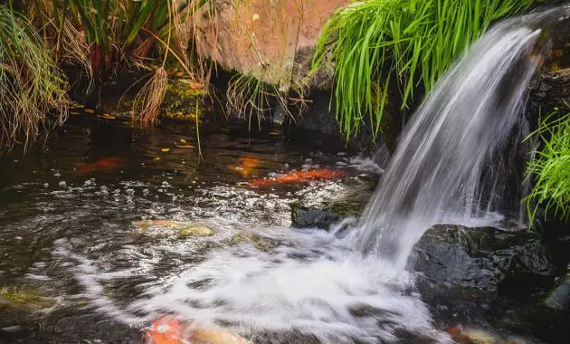 stream water pond waterfall creek nature flowing scenery