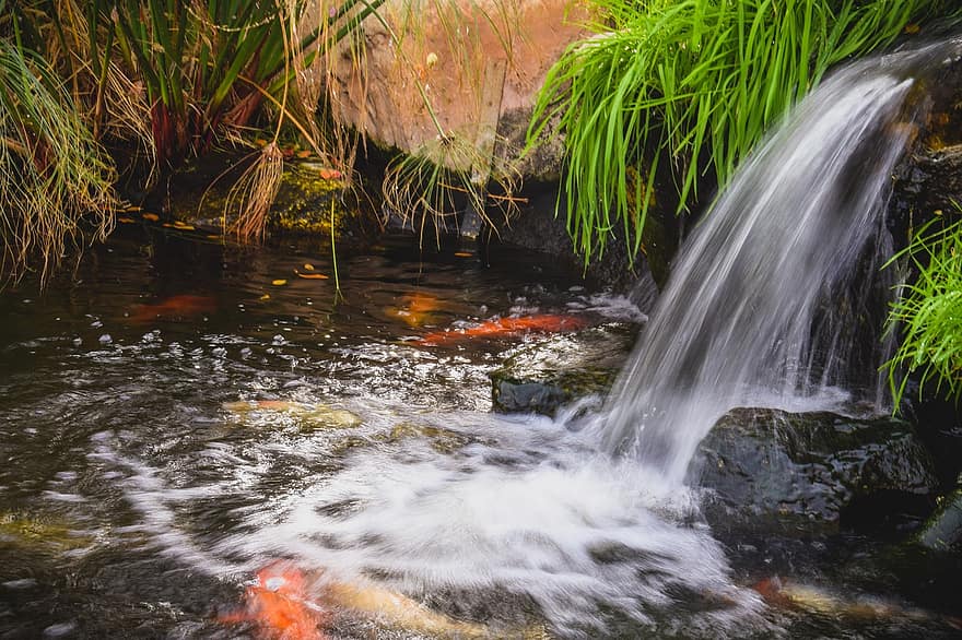stream water pond waterfall creek nature flowing scenery stream water pond waterfall creek nature flowing scenery