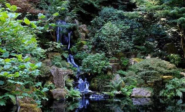 stream waterfall zen landscape creek outdoor scenery flow tranquil