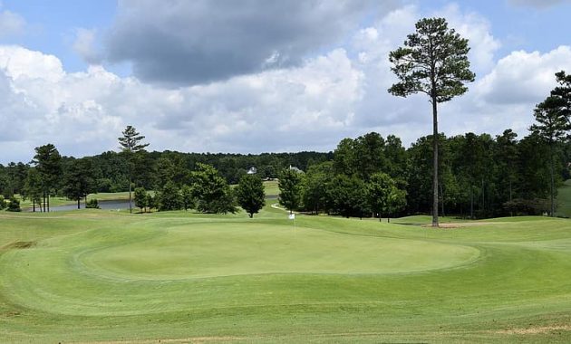 tree grass nature landscape panoramic summer golf outdoors sky