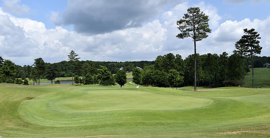 tree grass nature landscape panoramic summer golf outdoors sky tree grass nature landscape panoramic summer golf outdoors sky