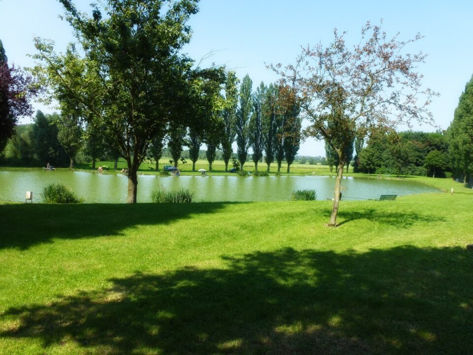 tree path grass structure plant sky tree path grass structure plant sky