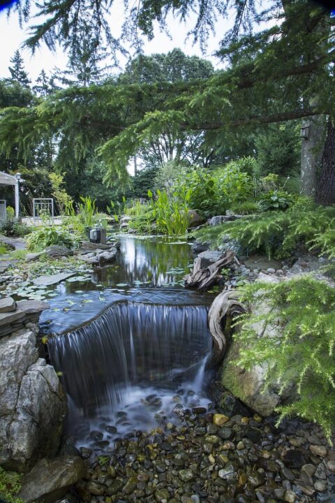waterfalls pond fish pond nature water landscape summer travel garden waterfalls pond fish pond nature water landscape summer travel garden