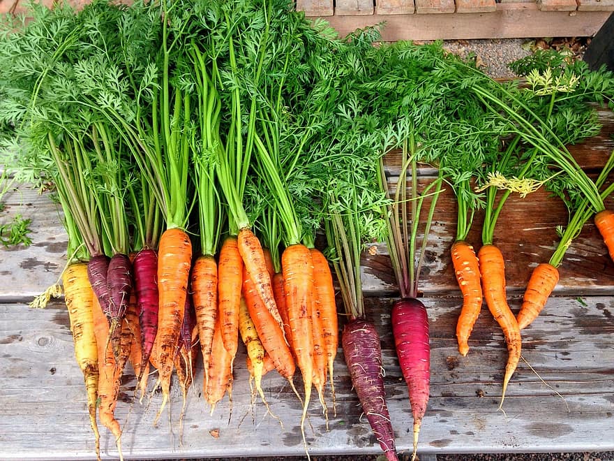 carrot carrots produce food vegetable fresh healthy organic orange