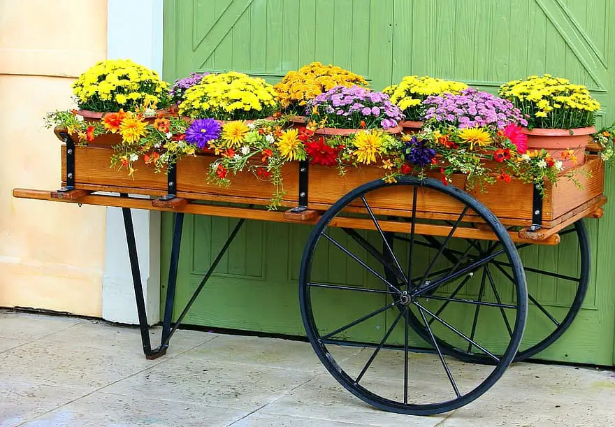 flower cart wagon mums chrysanthemums floral gardening country pot rustic