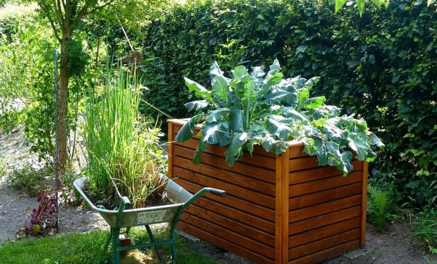 garden raised bed kohl gardening vegetables grow vegetables yourself uncooked fresh healthy 1