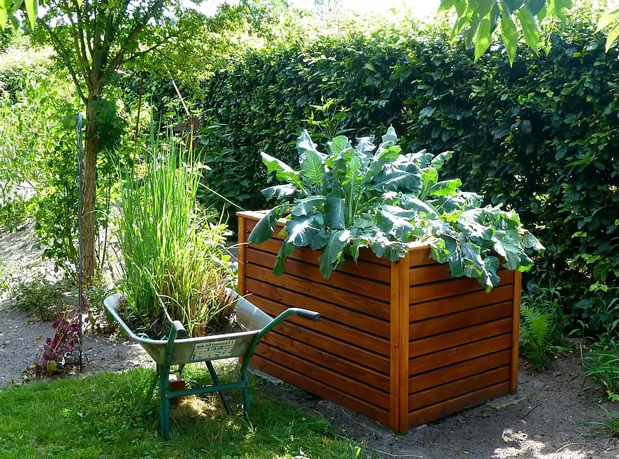 garden raised bed kohl gardening vegetables grow vegetables yourself uncooked fresh healthy