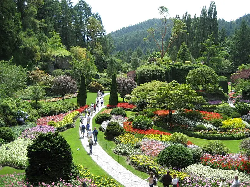 green and red flower garden during daytime