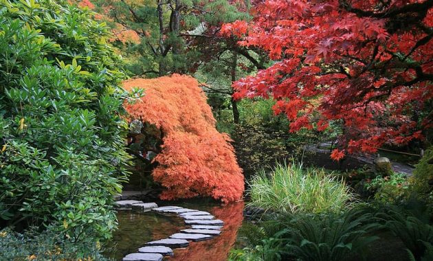 japanese garden path trees nature