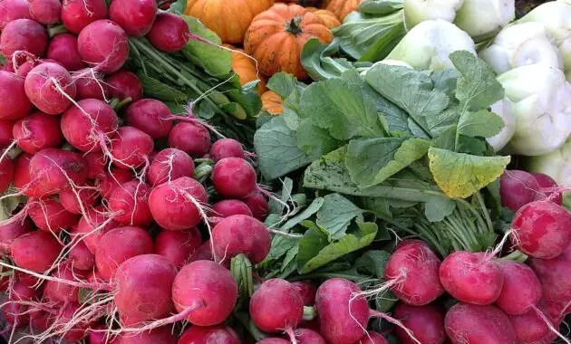 radishes radish pumpkin garlic vegetables healthy summer vegan fresh