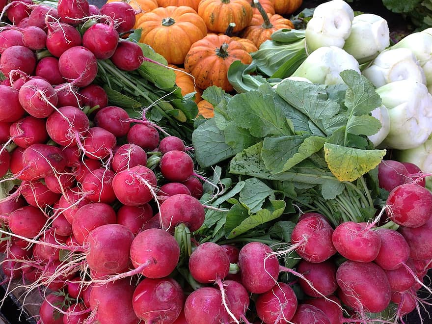 radishes radish pumpkin garlic vegetables healthy summer vegan fresh radishes radish pumpkin garlic vegetables healthy summer vegan fresh