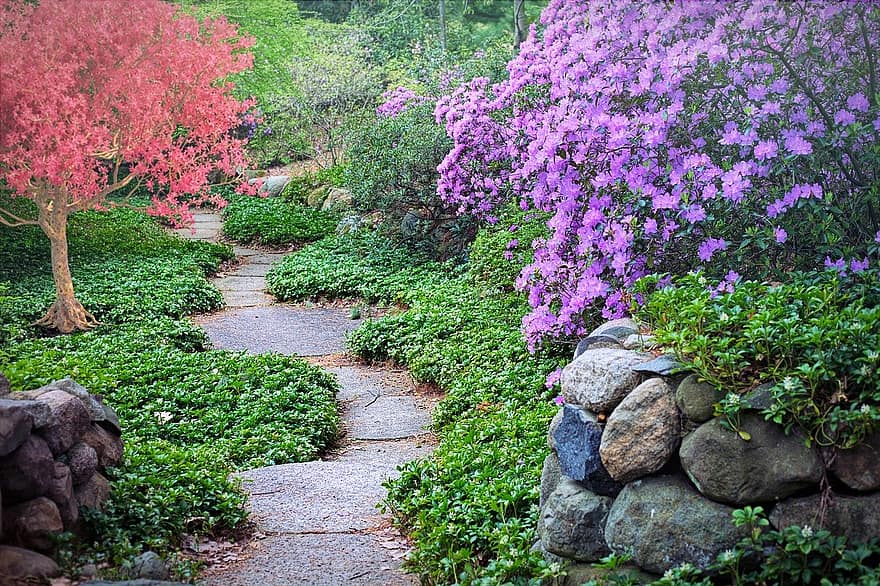 spring flowering trees path pathway walk nature garden blossoms season