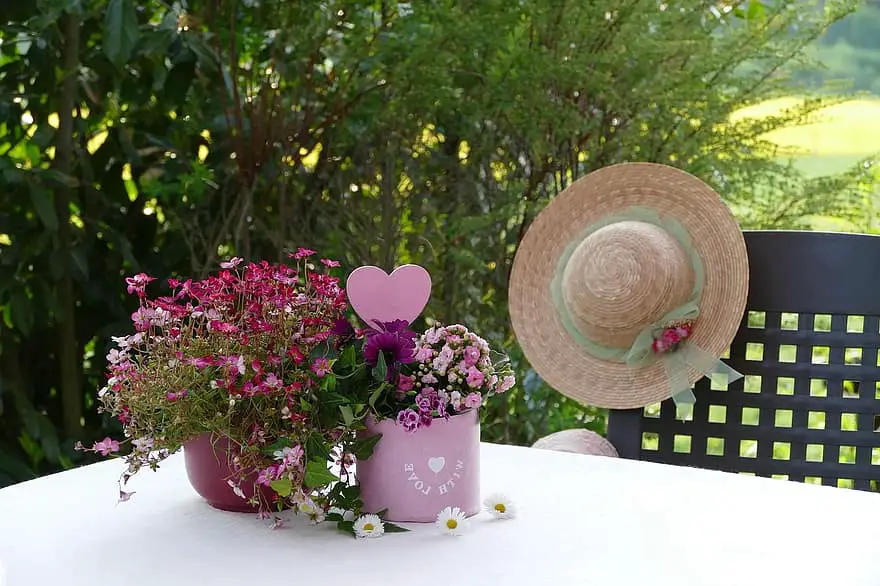 still life flower arrangement mother s day saxifrage kalanchoe heart spring potted flowers tender