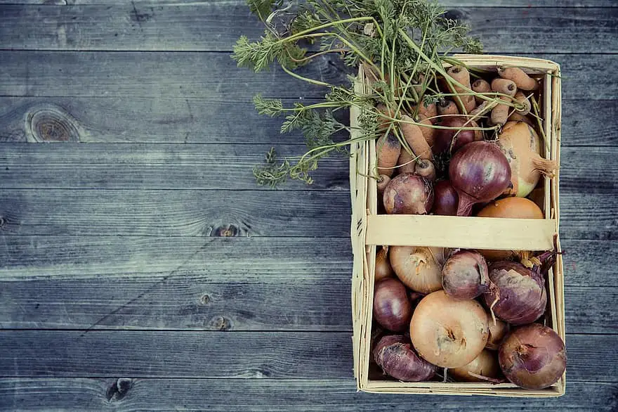 vegetables harvest cultivation thanksgiving garden fresh onions carrots colorful