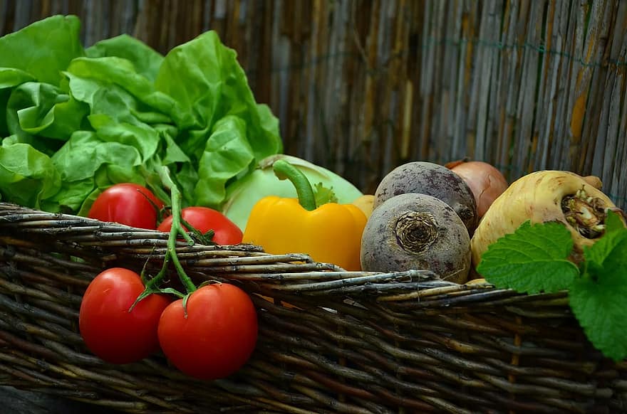 vegetables tomatoes vegetable basket salad garden harvest fresh vegetarian eat 1