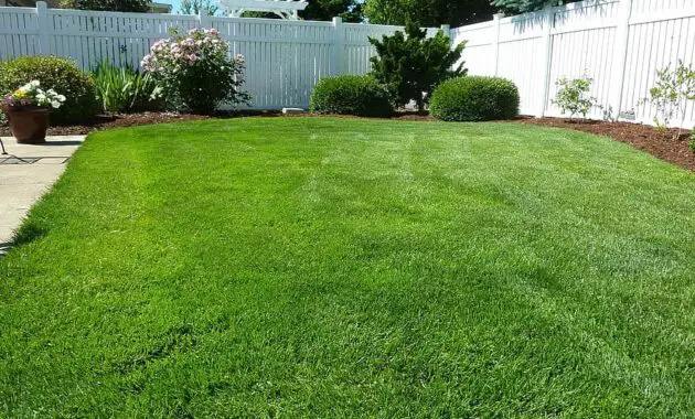 back yard grass vinyl fence nature outside lawn green fence landscape 1