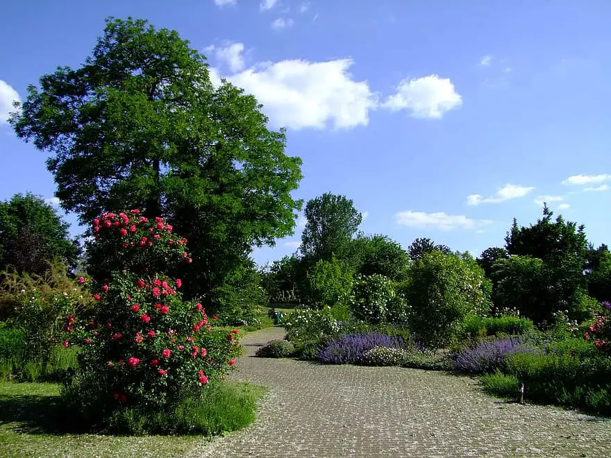 botanical garden dusseldorf garden spring rosenbaum trees away germany