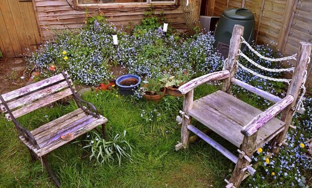 chairs garden seat furniture outdoor green grass summer plant