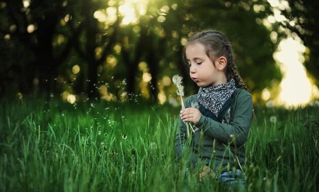 child dandelion kids spring nature grass summer girl cute