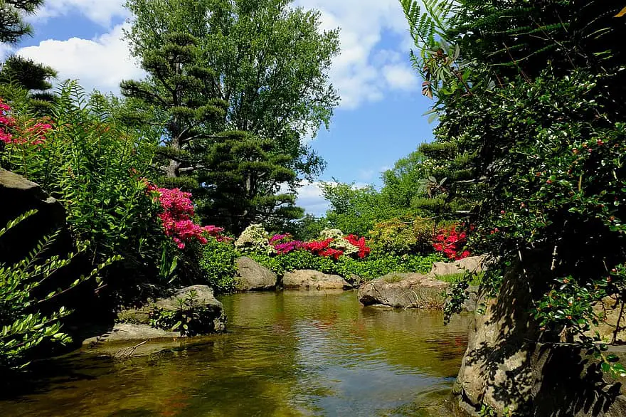 dusseldorf japanese garden ornamental garden park landscape spring bach watercourse germany