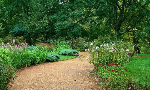 garden path pea gravel sand lawn flowers horticulture