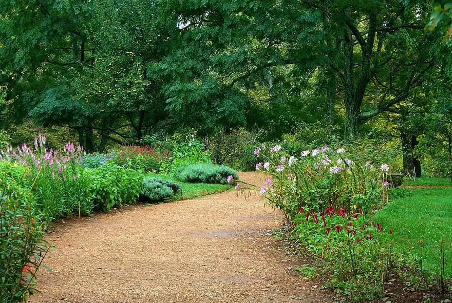 garden path pea gravel sand lawn flowers horticulture