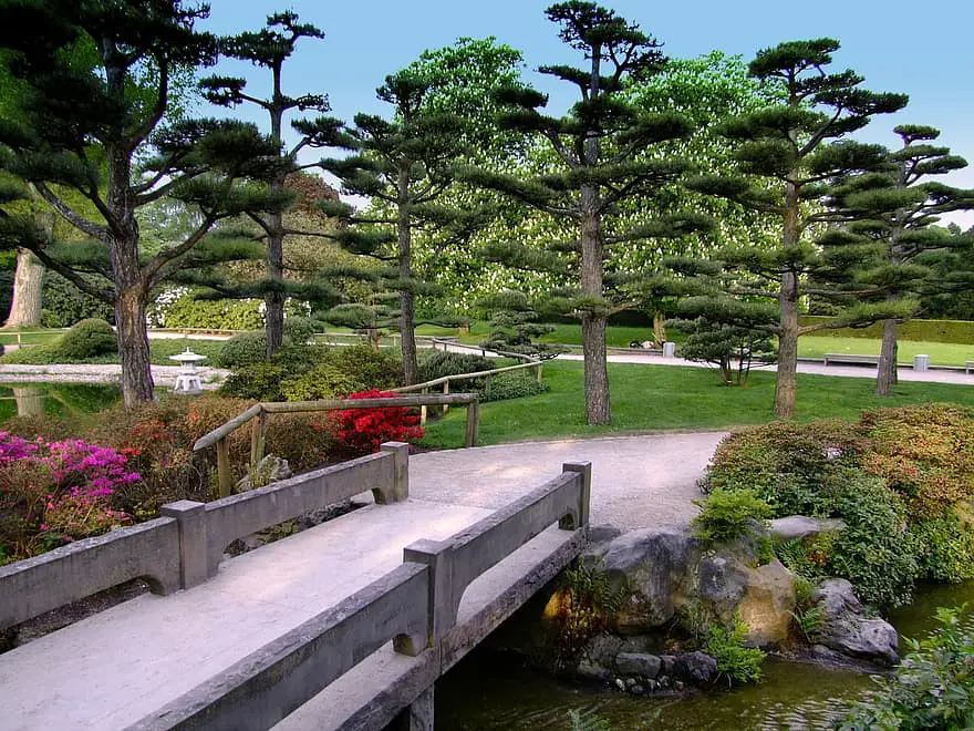 landscape japanese garden garden park bridge dusseldorf north park flowers summer