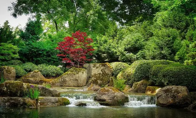 nature waters tree leaf river bach garden japanese forest