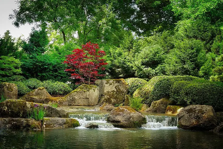 nature waters tree leaf river bach garden japanese forest