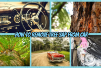 How to Remove Tree Sap from Car