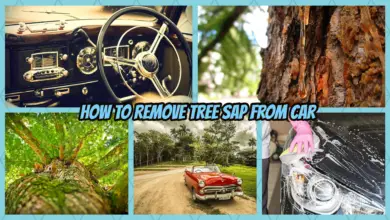 How to Remove Tree Sap from Car