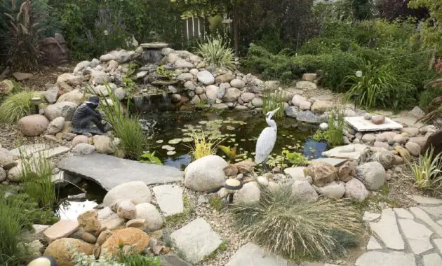 Fish Pond Inspiration for Backyard