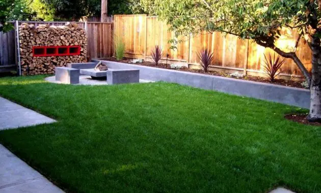 Minimalist Garden With Pavers Ideas