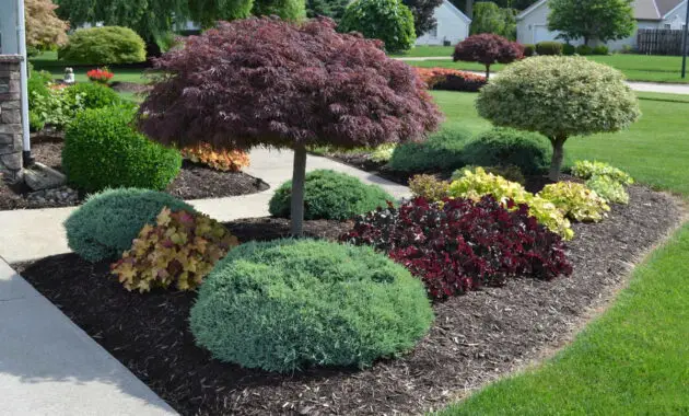 Minimalist Landscaping Ideas for Backyard or Front Yard