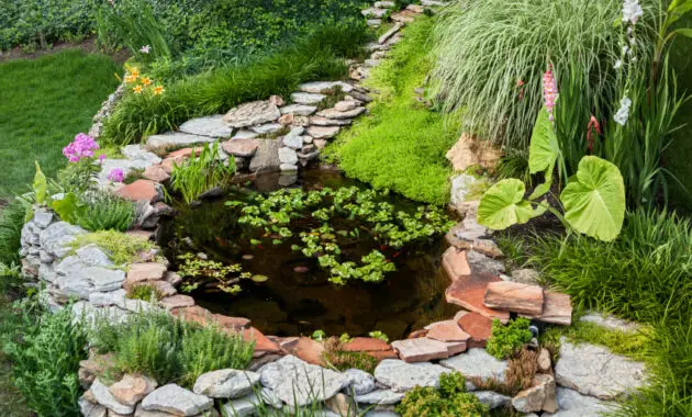 Simple Fish Pond Ideas