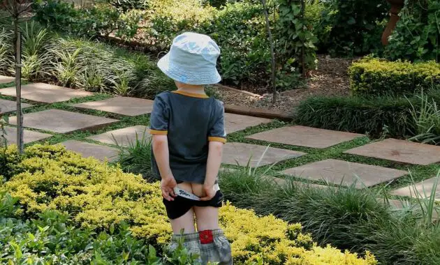 garden green shrubs foliage path paving figure of boy pulling up scants day time