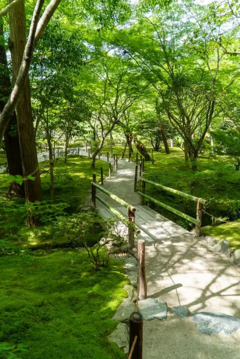 green garden and stone paving rock garden