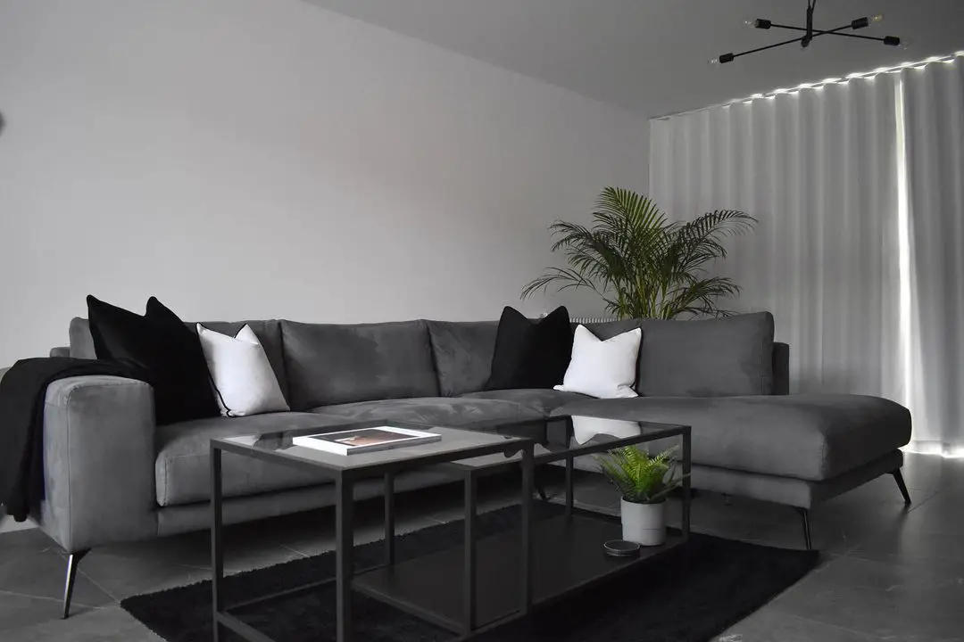 Black carpet with gray accent and furniture ideas for living room