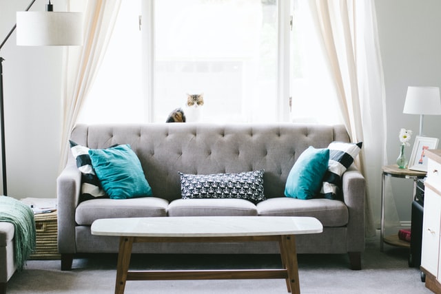 Elegant gray couch minimalist living room