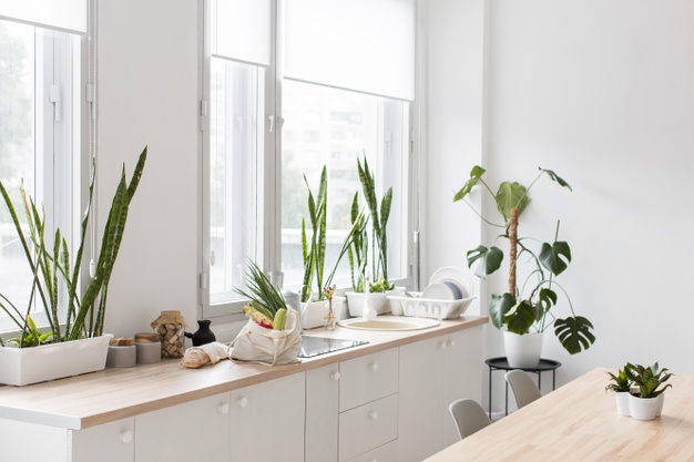 greenary kitchen room design decoration