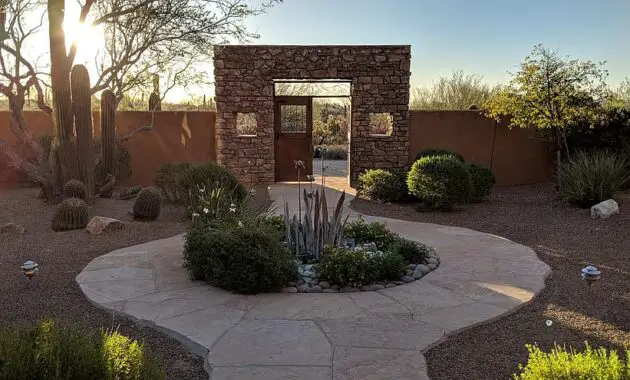 arizona cactus southwest usa landscape desert sunset saguaro backyard