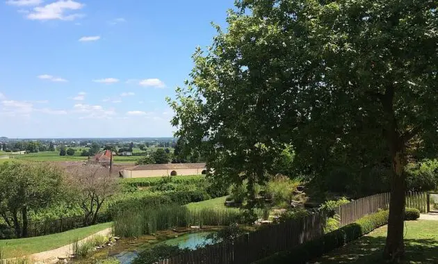 bordeaux landscape garden backyard