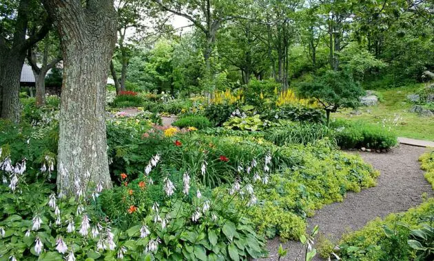 garden path flowers trees natural summer walkway gardening landscaping