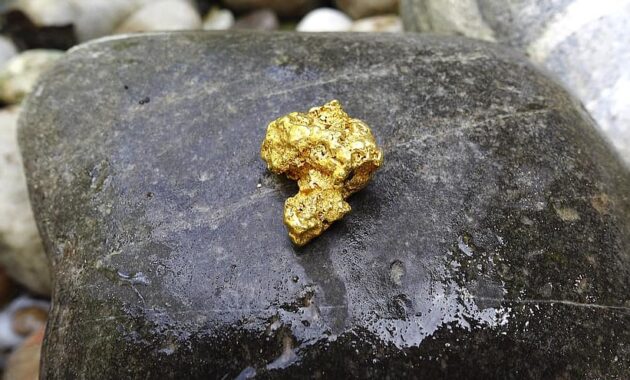 gold gold nugget nugget natural gold valuable