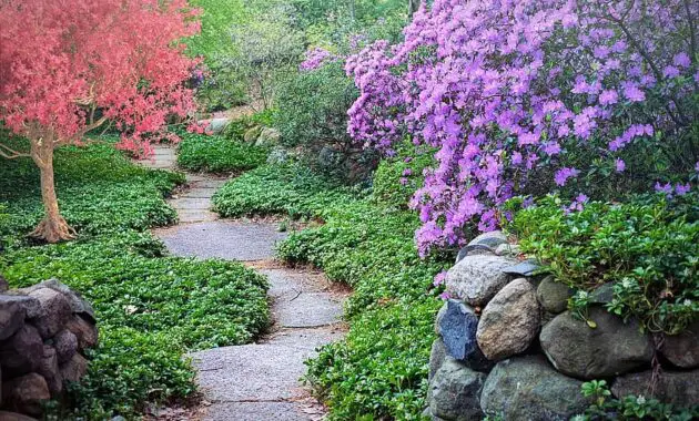 spring flowering trees path pathway walk nature garden blossoms season