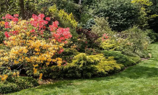 springs best show garden backyard horticulture arboretum flowers lawn grass walk