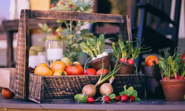 vegetable basket fruit basket harvest thanksgiving basket garden vegetables rustic radish